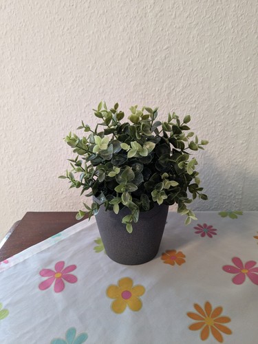 Ikea persillade blumentopf - persillade,