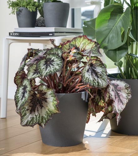 Ikea persillade übertopf - -,